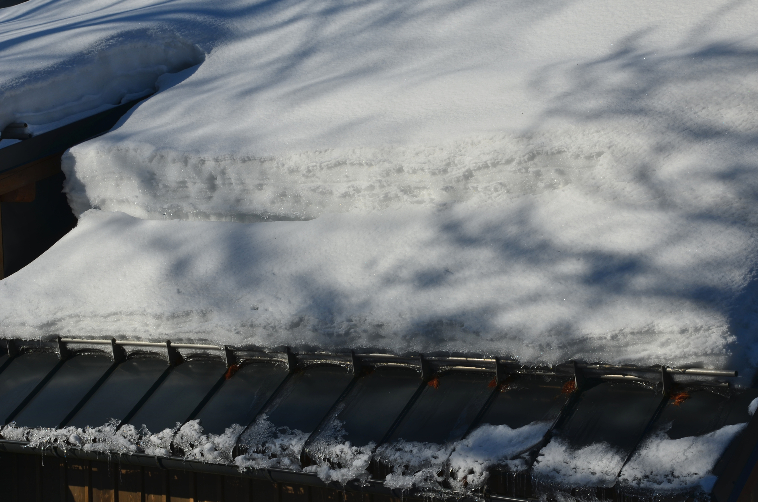 Sneeuw dak