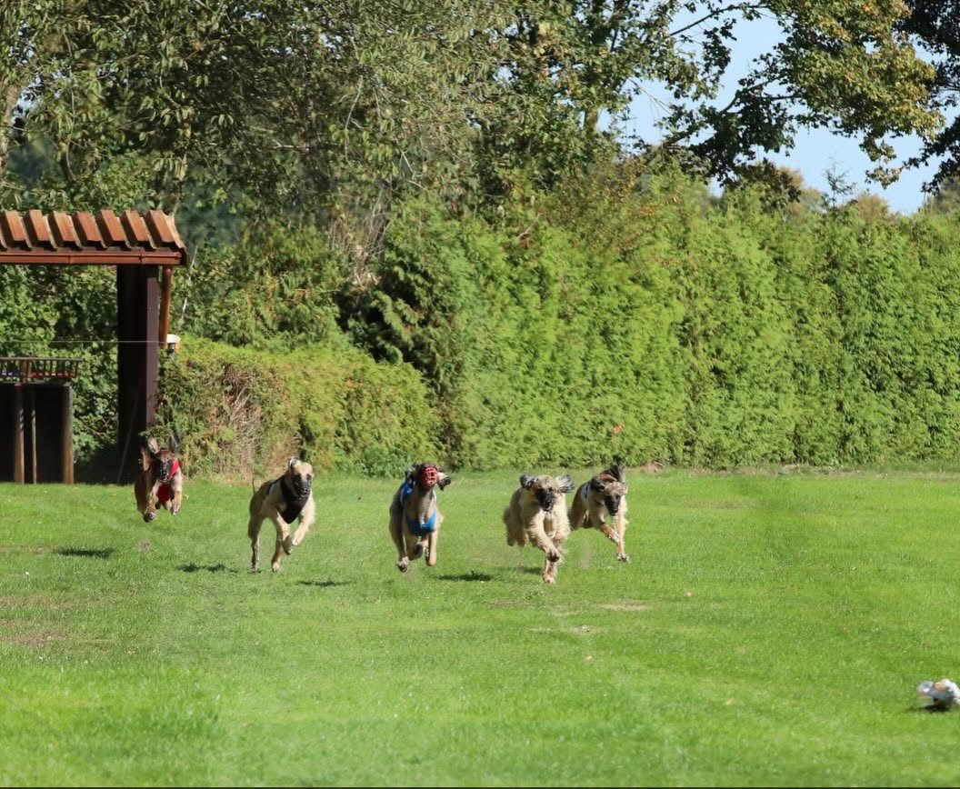 100-jarig jubileum PWRC 2